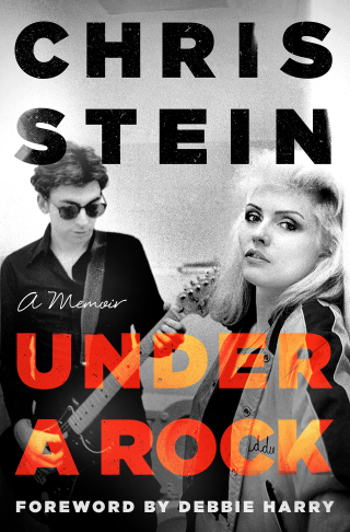Cover image: Under a Rock 9781250286727