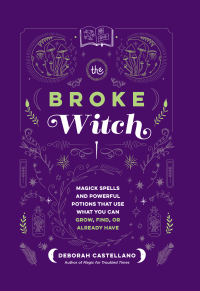 Cover image: The Broke Witch 9781250287861