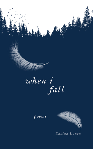 Cover image: When I Fall 9781250288011