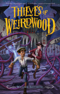 Cover image: Thieves of Weirdwood 9781250302885