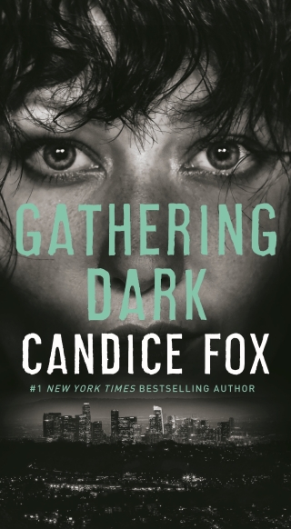 Imagen de portada: Gathering Dark 9781250317636
