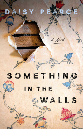 Cover image: Something in the Walls 9781250334381