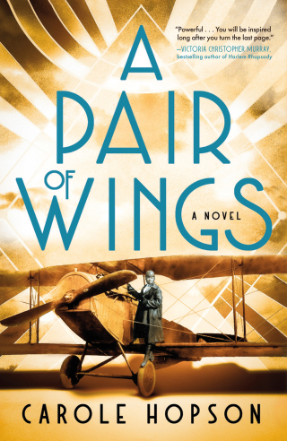 Cover image: A Pair of Wings 9781250347213