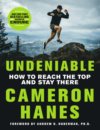 Cover image: Undeniable 9781250365941