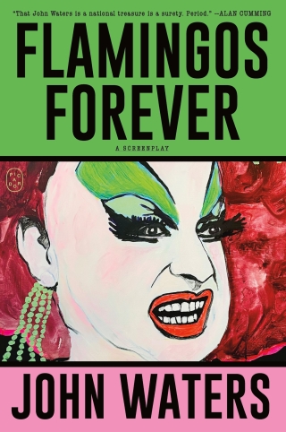Cover image: Flamingos Forever 9781250371270