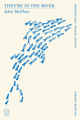 Cover image: They're in the River (Picador Shorts) 9781250391285