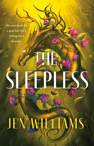 Cover image: The Sleepless 9781250409256
