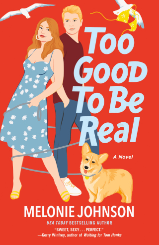 Cover image: Too Good to Be Real 9781250768803