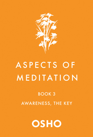 Cover image: Aspects of Meditation Book 3 9781250786463