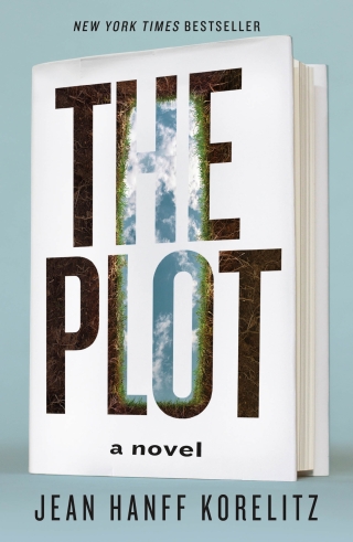 Cover image: The Plot 9781250790767