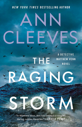 Cover image: The Raging Storm 9781250836779