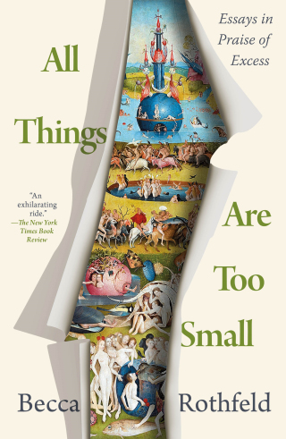 Cover image: All Things Are Too Small 9781250849915