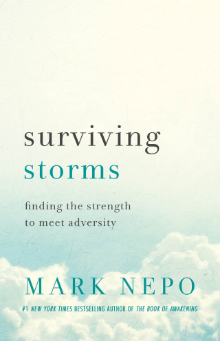 Cover image: Surviving Storms 9781250862150