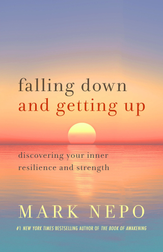 Cover image: Falling Down and Getting Up 9781250909947