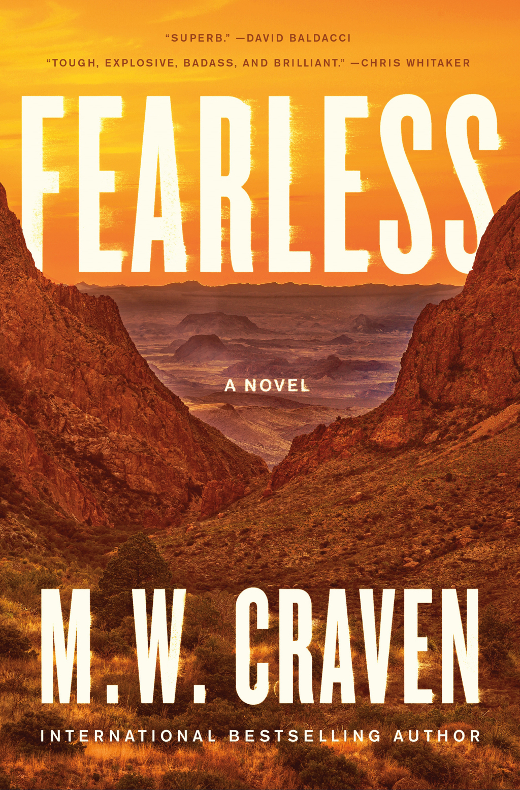 Fearless A Novel