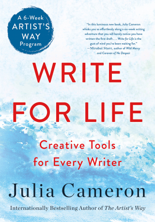 Cover image: Write for Life 9781250866271