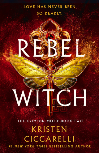 Cover image: Rebel Witch 9781250866929