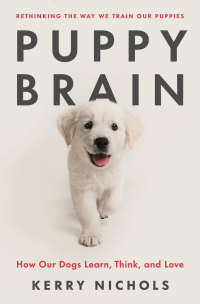 Cover image: Puppy Brain 9781250867919