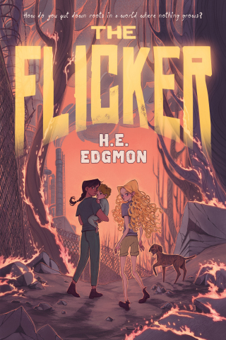 Cover image: The Flicker 9781250873972