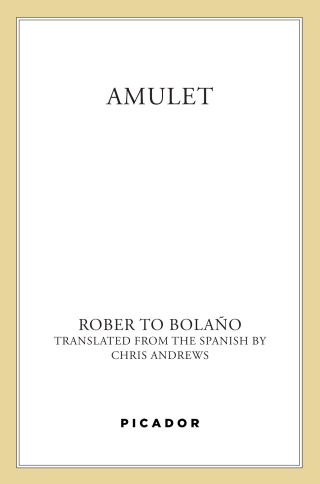 Cover image: Amulet 9781250898128