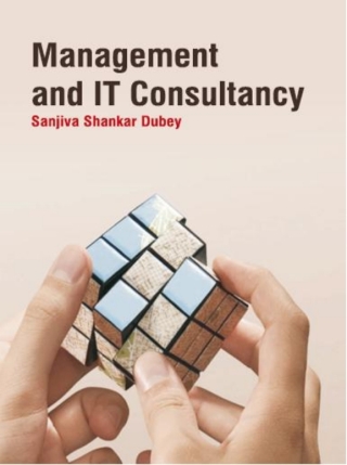 Titelbild: Management and IT Consultancy 9781259004896