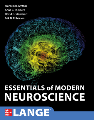 Cover image: Essentials of Modern Neuroscience 1st edition 9780071849050