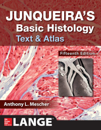 Cover image: Junqueira's Basic Histology: Text and Atlas 15th edition 9781260026177