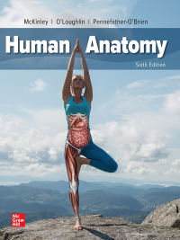 Cover image: Human Anatomy 6th edition 9781260251357