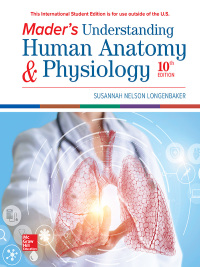 Imagen de portada: Mader's Understanding Human Anatomy & Physiology 10th edition 9781260565997