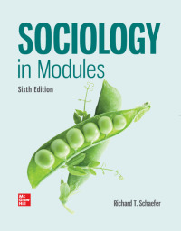 Cover image: Sociology in Modules 6th edition 9781260726770