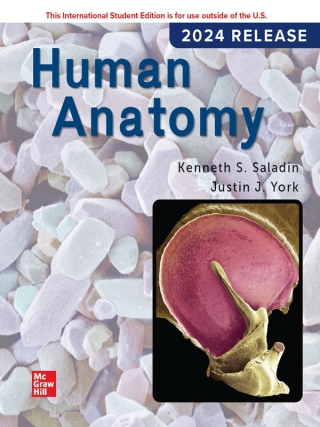 Cover image: Human Anatomy ISE 7th edition 9781266820649