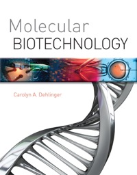 Titelbild: Molecular Biotechnology 1st edition 9781284031409