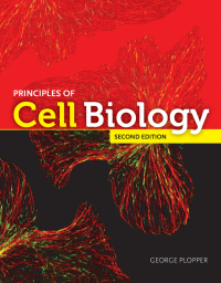 Omslagafbeelding: Principles of Cell Biology 2nd edition 9781284047608