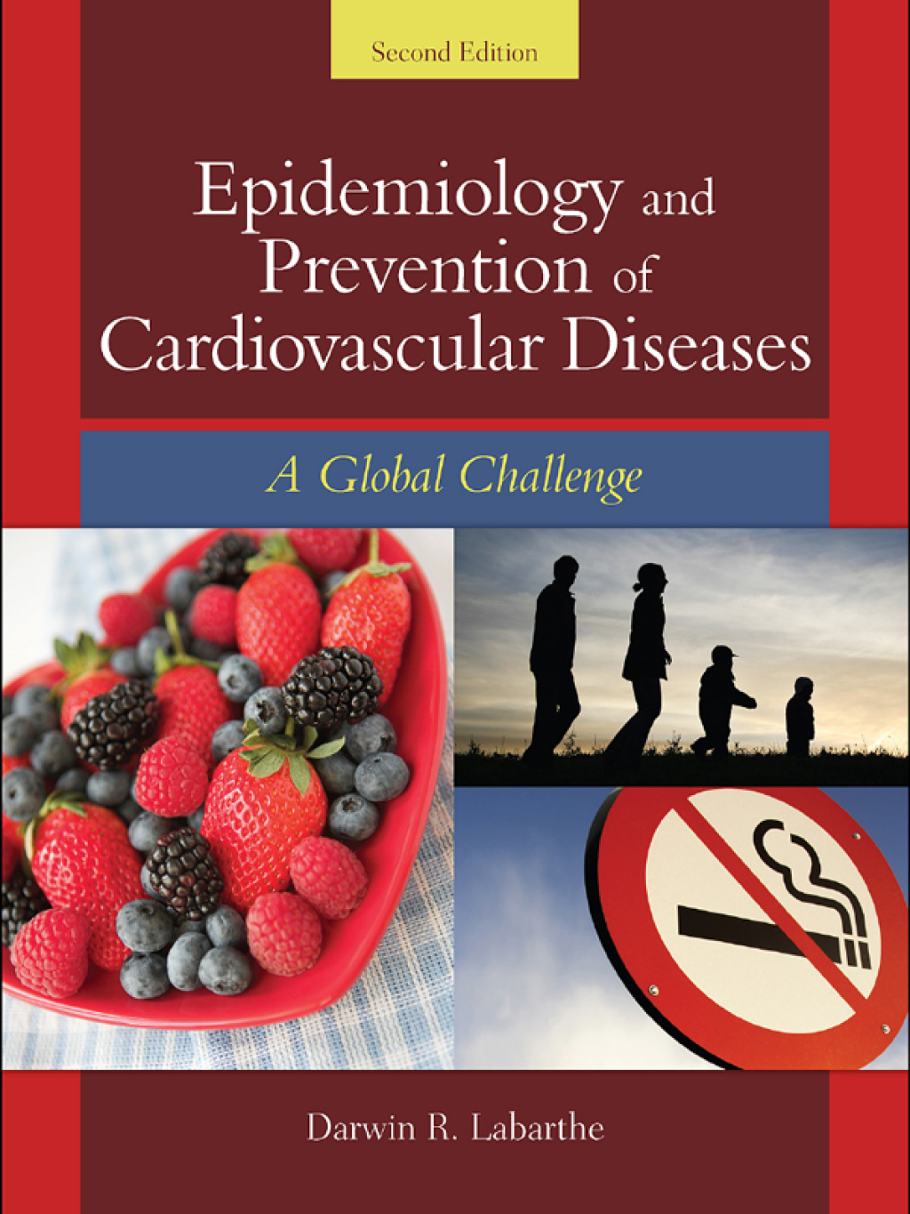Epidemiology and Prevention of Cardiovascular Diseases: A Global Challenge A Global Challenge 2nd Edition