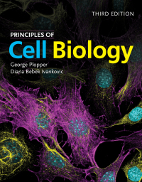 Omslagafbeelding: Principles of Cell Biology 3rd edition 9781284149845