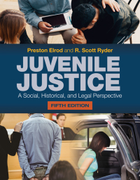 Cover image: Juvenile Justice: A Social, Historical, and Legal Perspective 5th edition 9781284172898