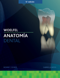 Cover image: Woelfel Anatomía Dental 9th edition 9781284218244