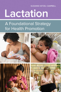 Imagen de portada: Lactation: A Foundational Strategy for Health Promotion 9781284197167