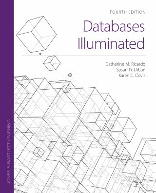 Cover image: Databases Illuminated 4th edition 9781284231588
