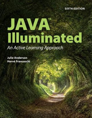 Imagen de portada: Java Illuminated 6th edition 9781284250480