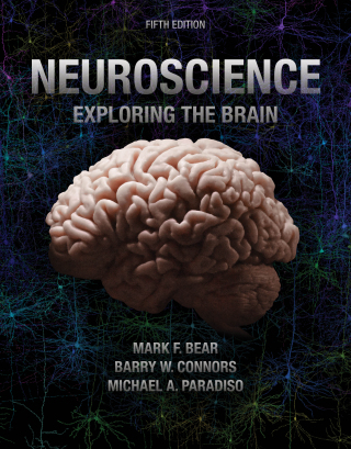Cover image: Neuroscience: Exploring the Brain 5th edition 9781284286878