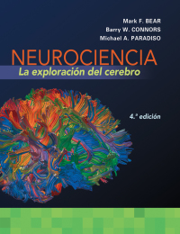 Imagen de portada: Neurociencia: La exploración del cerebro 4th edition 9781284349023