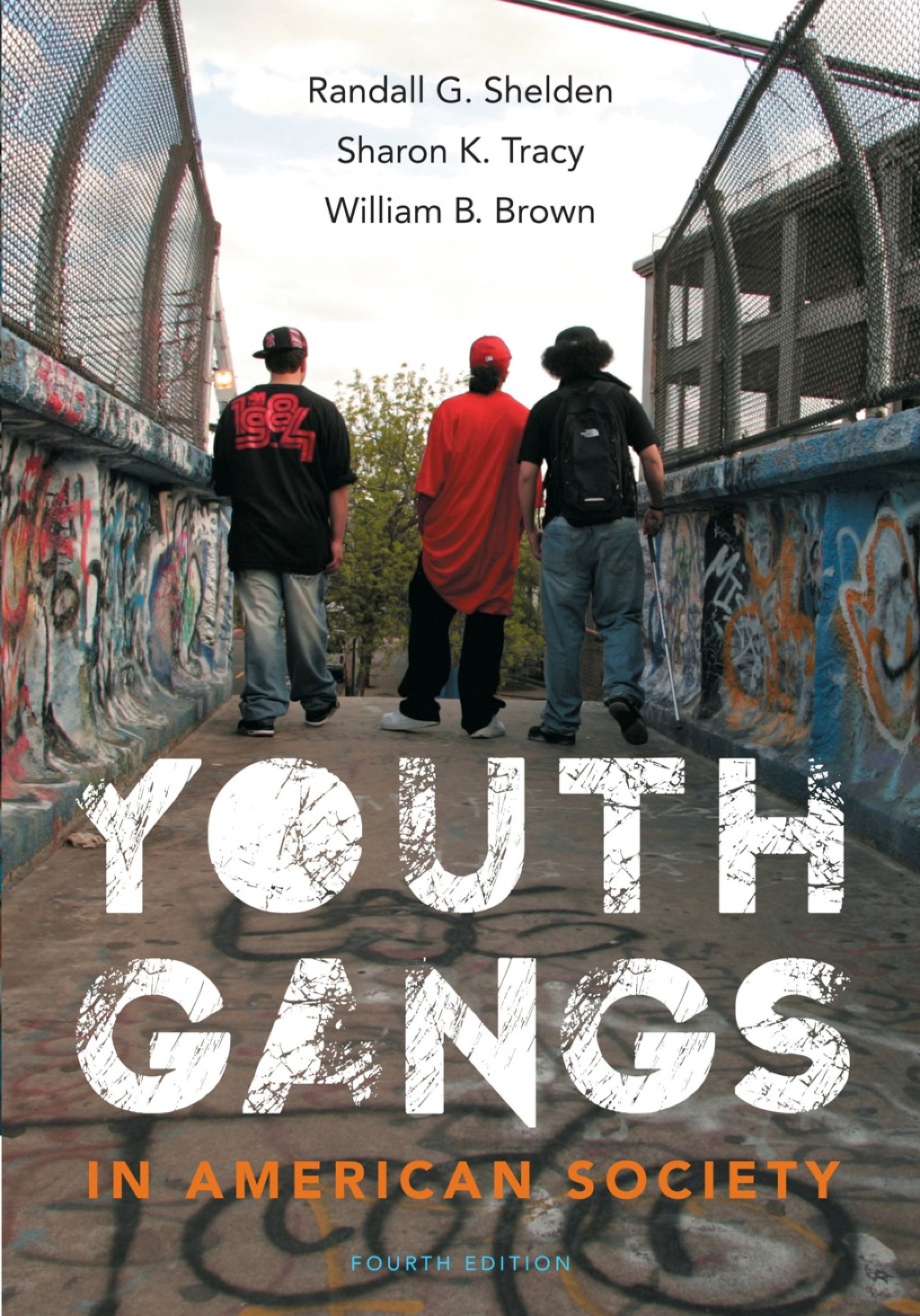 Youth Gangs in American Society 4th Edition    Newer Edition Available
