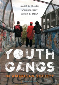 Cover image: Youth Gangs in American Society 4th edition 9781285303871