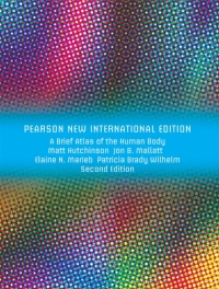 Cover image: Brief Atlas of the Human Body, A (ValuePack Only): Pearson New International Edition 2nd edition 9781292026404