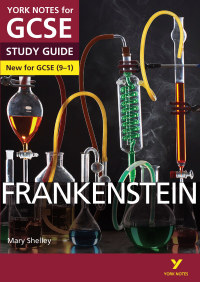 Titelbild: Frankenstein: York Notes for GCSE (9-1) ebook edition 1st edition 9781447982142