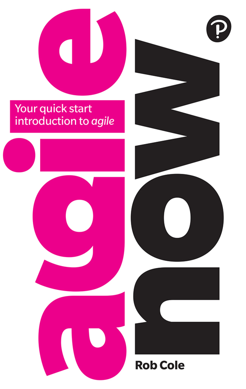 Agile Now 1st Edition