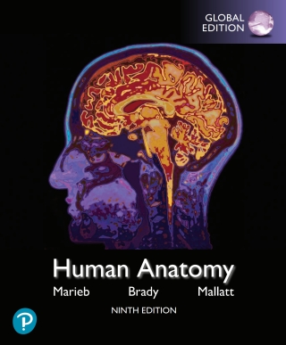 Cover image: Human Anatomy, Global Edition 9th edition 9781292314471