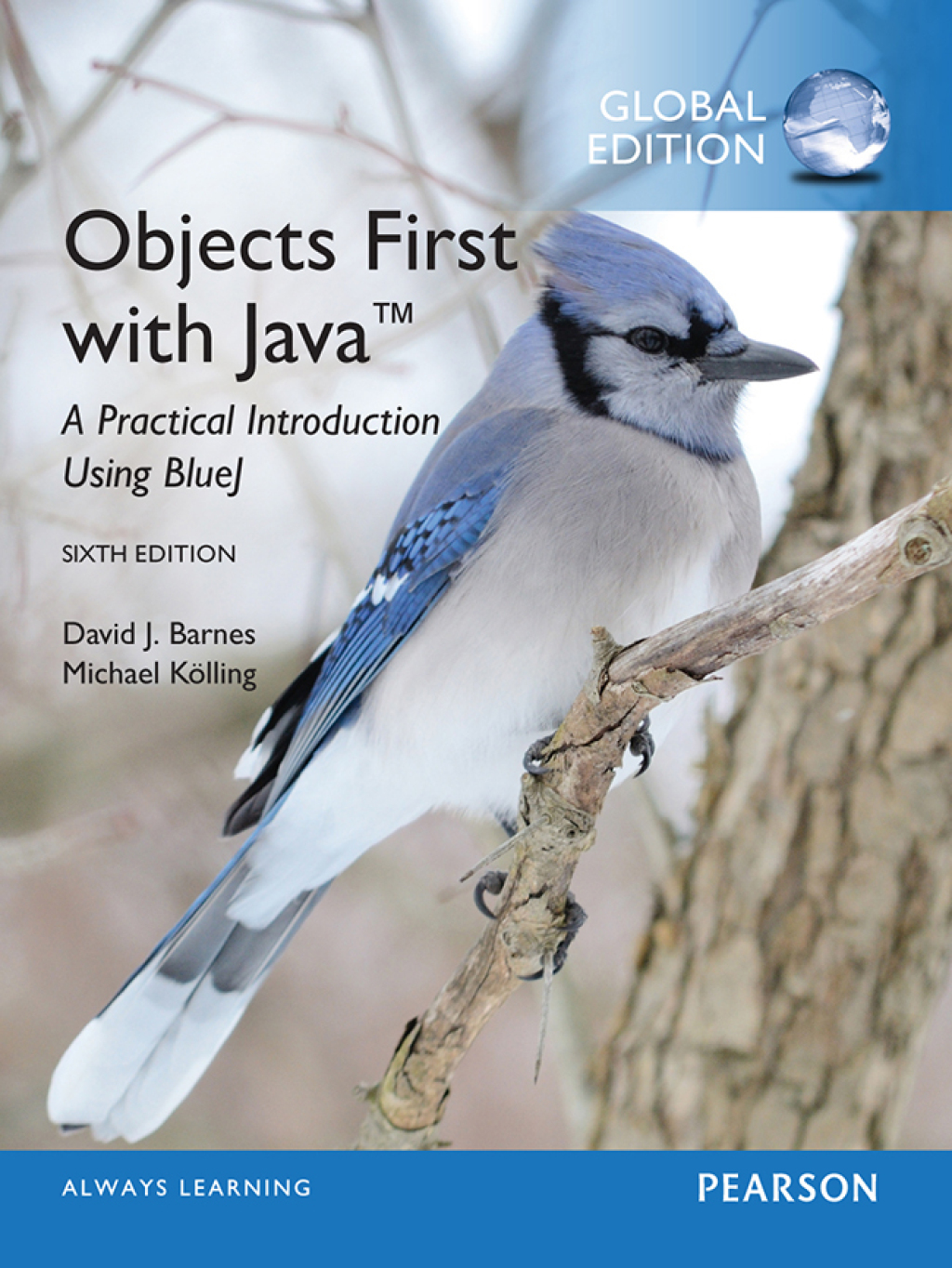 Objects First with Java: A Practical Introduction Using BlueJ  Global Edition - 6th Edition (eBook Rental)
