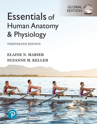 Cover image: Essentials of Human Anatomy & Physiology, Global Edition 13th edition 9781292401942